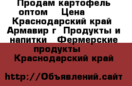 Продам картофель оптом. › Цена ­ 15 - Краснодарский край, Армавир г. Продукты и напитки » Фермерские продукты   . Краснодарский край
